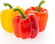 Organic Rainbow Bell Pepper Seeds