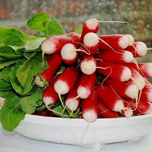 French Breakfast Radish Seeds
