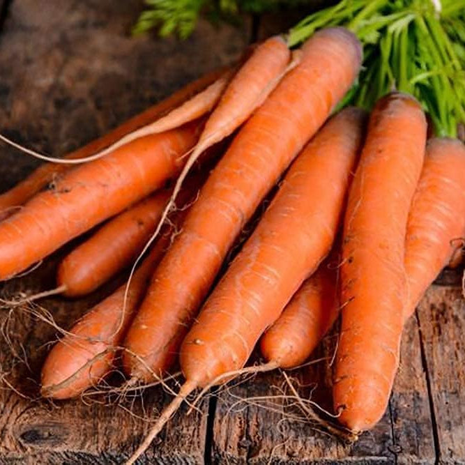 Orange Carrot Seeds – up to 50%