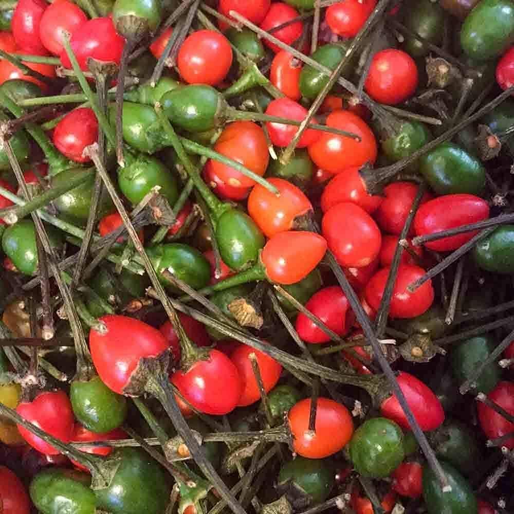 Chiltepin Pepper Seeds Up to 50% Off