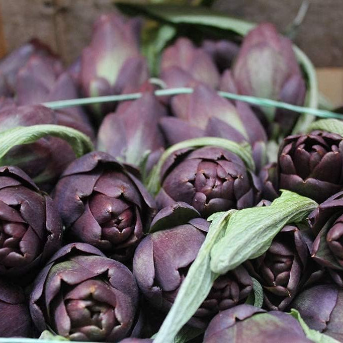 Purple Romagna Artichoke Seeds Up to 50% Off