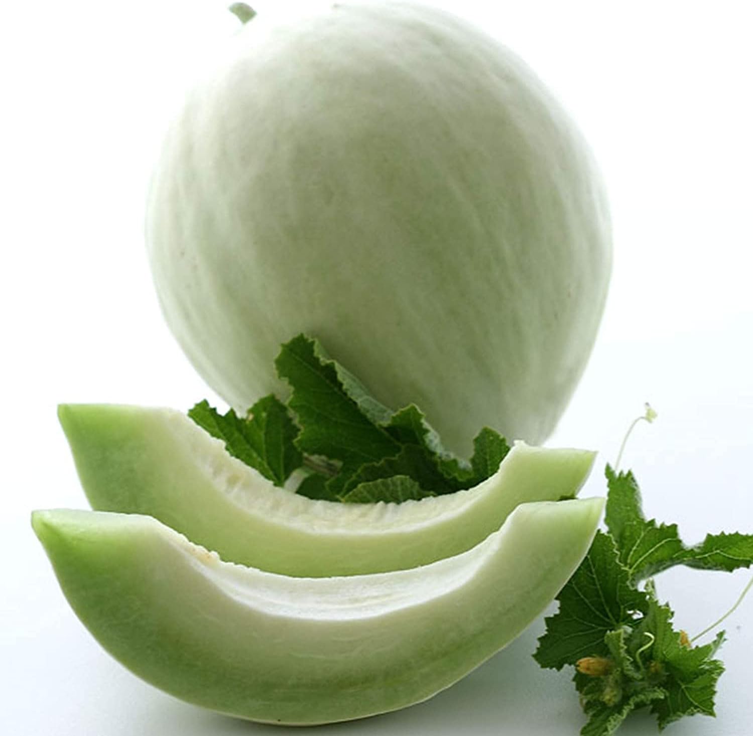 Green Honeydew Melon Seeds up to 50%