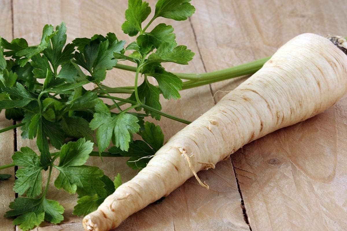 Dutch Hamburg Parsley Seeds Up to 50% Off
