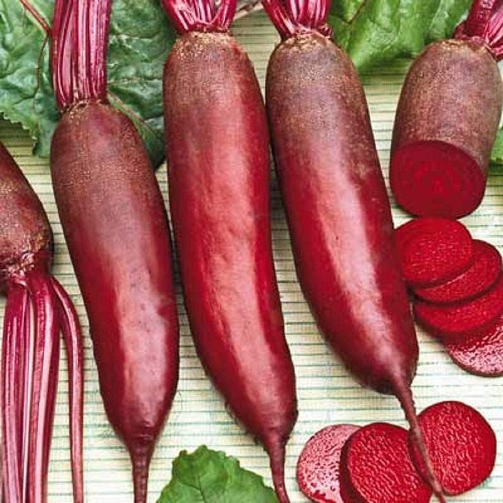 Rival Beetroot Seeds Up to 50% Off