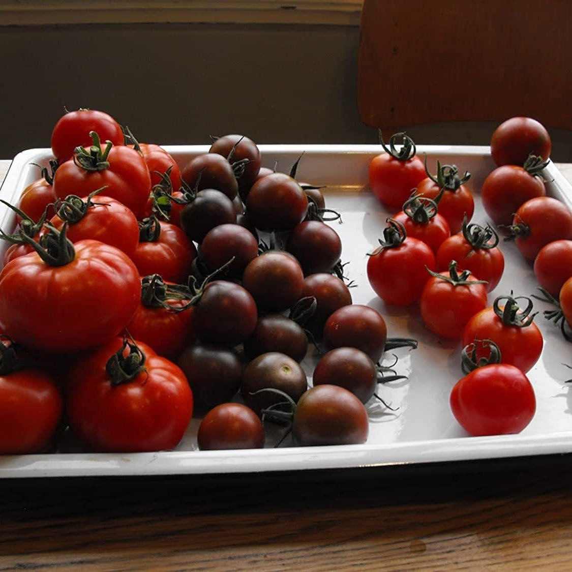 Black Early Tomato Seeds up to 50%