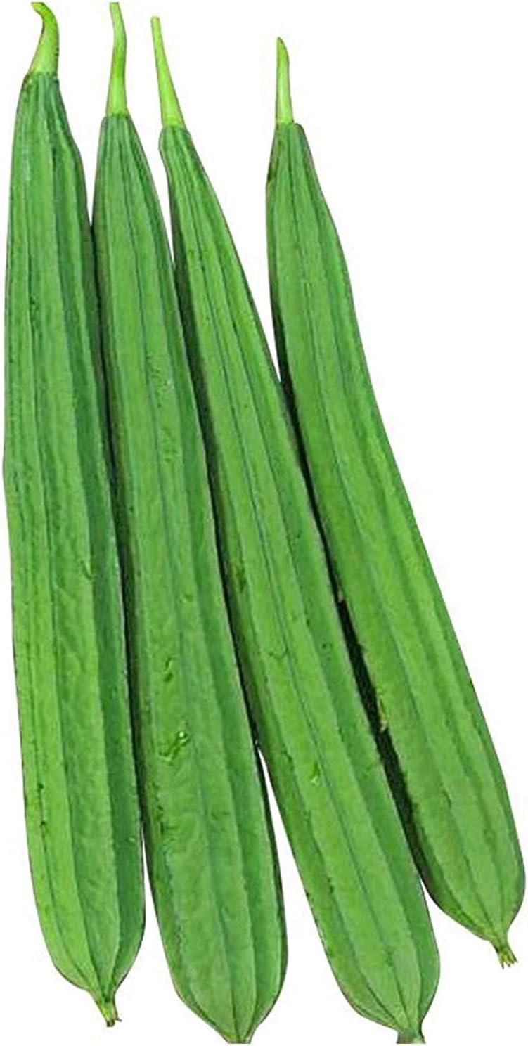 Luffa Gourd Sponge Seeds up to 50%