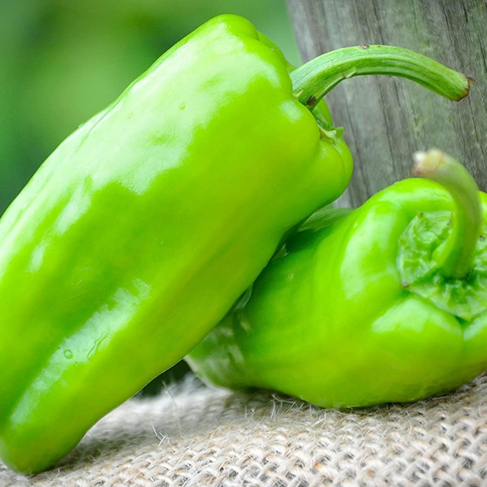 Pepperoncini Italian Pickling Heirloom Pepper Seeds – prime day up to 50%