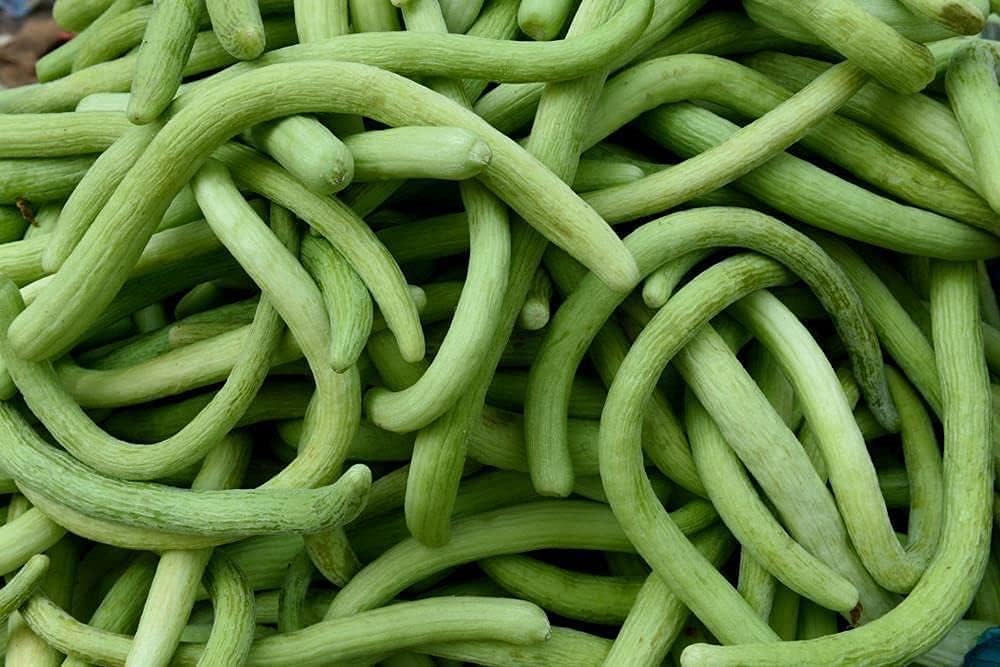 Chinese Snake Cucumber Seeds – Armenian Heirloom Vegetable – up to 50%