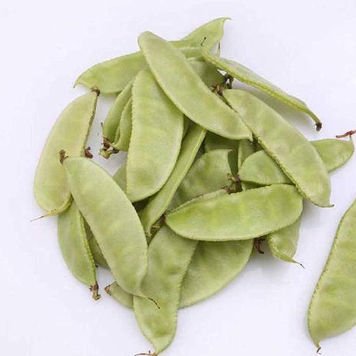 Henderson Lima Bean Seeds