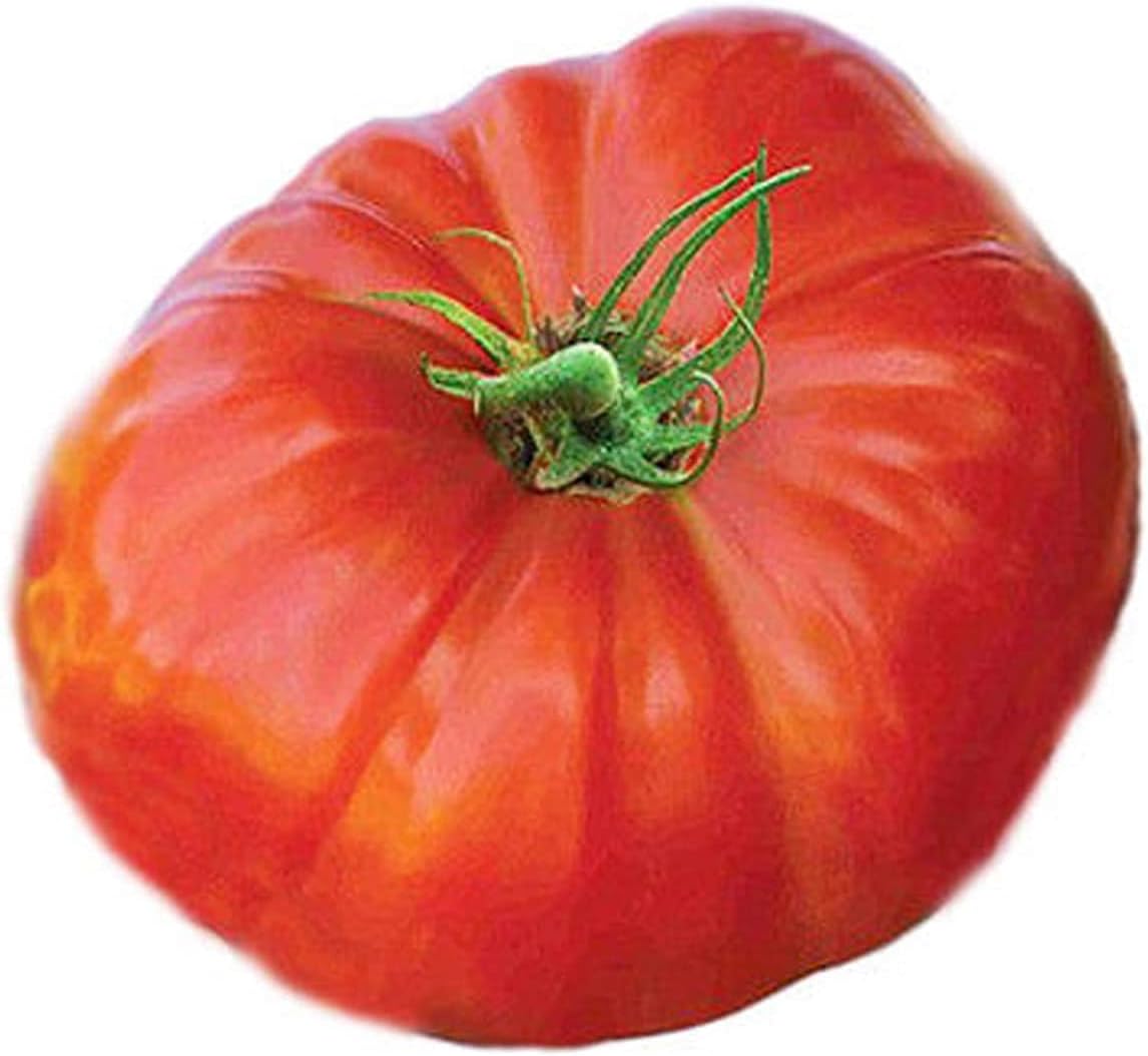 Big Beef Tomato Seeds up to 50%