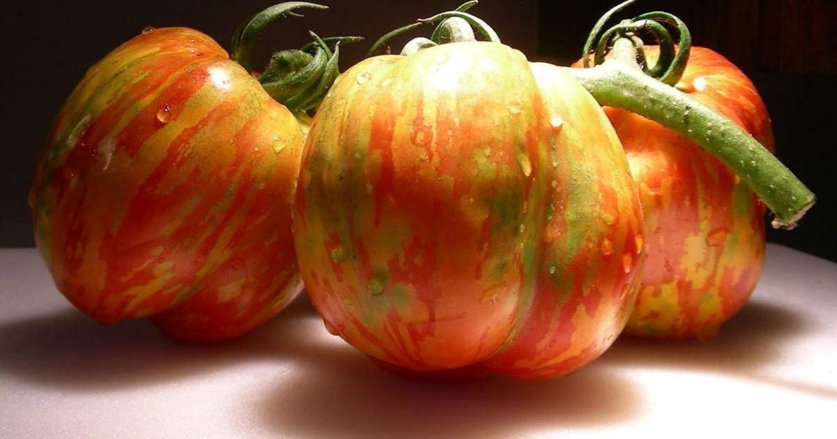 Rainbow Giant Tomato Seeds up to 50%