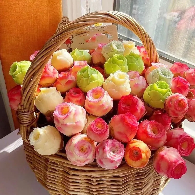 Mountain Rose Seeds - Pink Succulent Larger Packet High Germination 2000-5000 Onsaleseeds