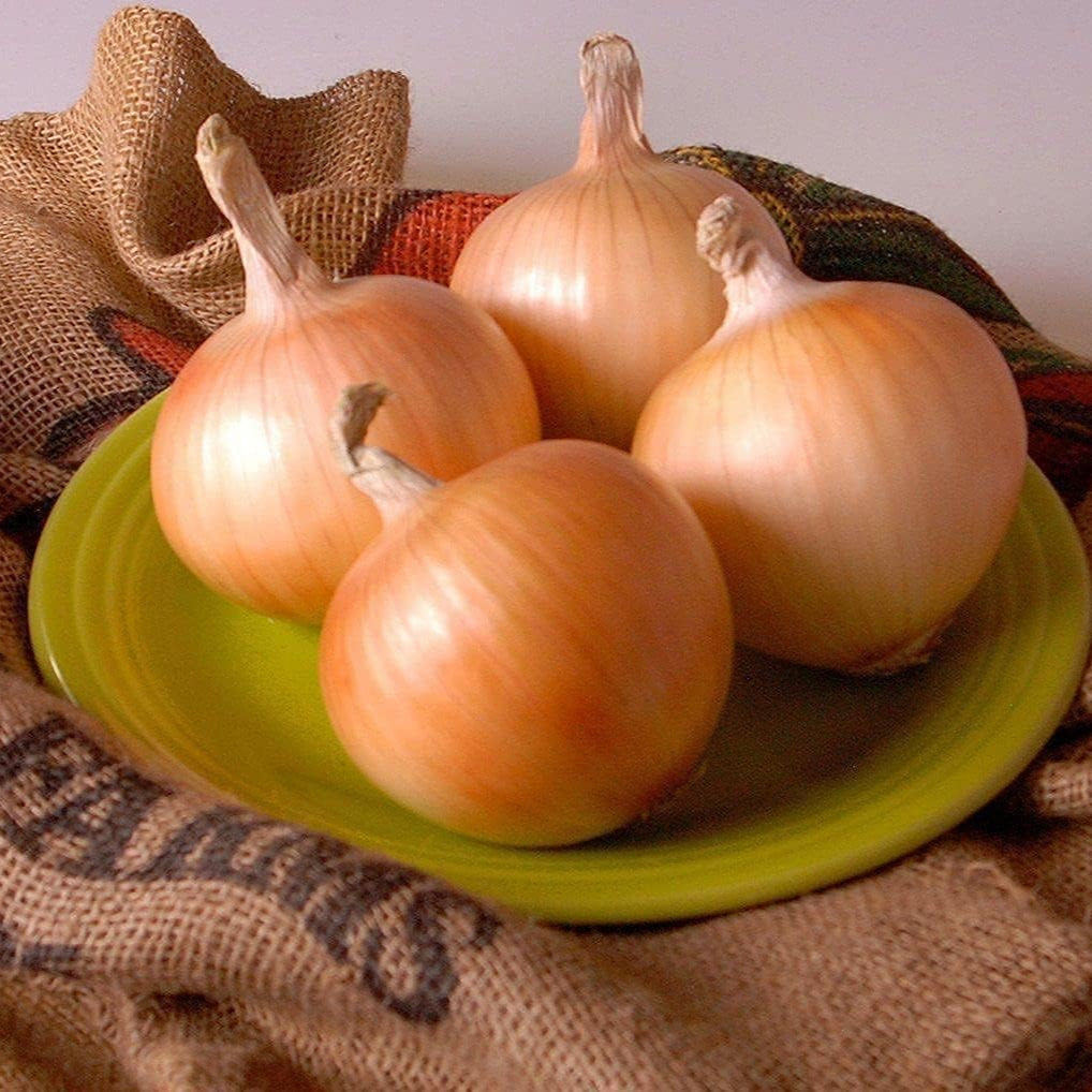 Texas Early Onion Seeds Up to 50% Off