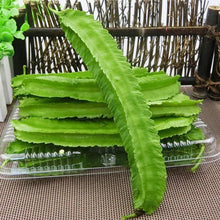 Green Winged Bean Seeds