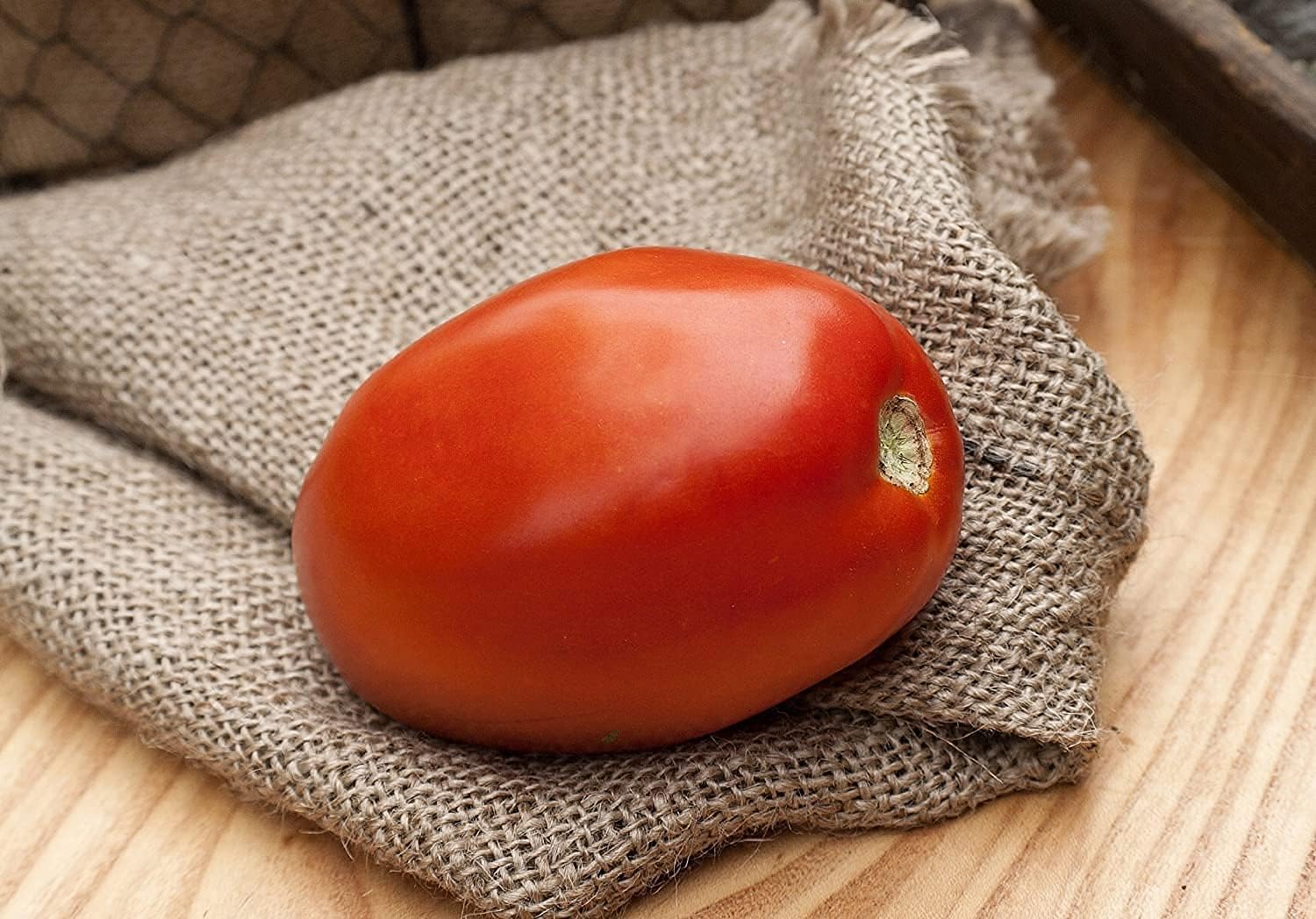 Romeo Roma Heirloom Tomato Seeds – Italian Paste Variety | Up to 50%