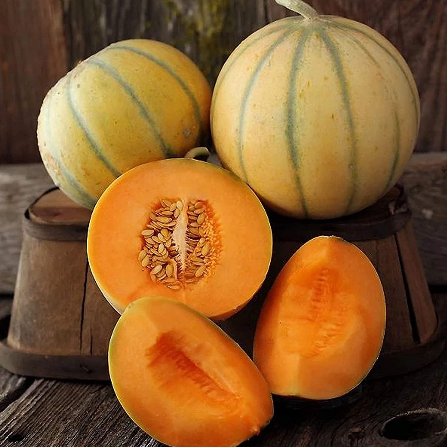 Organic Charentais Melon Seeds prime day up to 50%