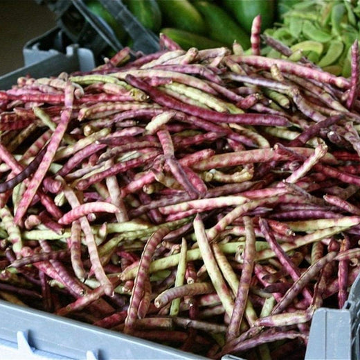 Pinkeye Purple Hull Cowpea Seeds