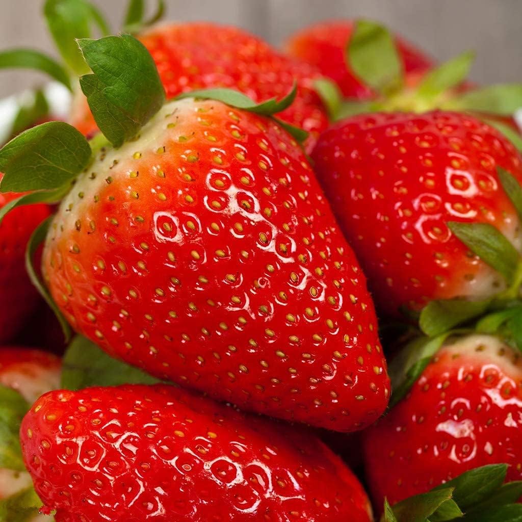 Strawberry Plant Seeds Up to 50% Off