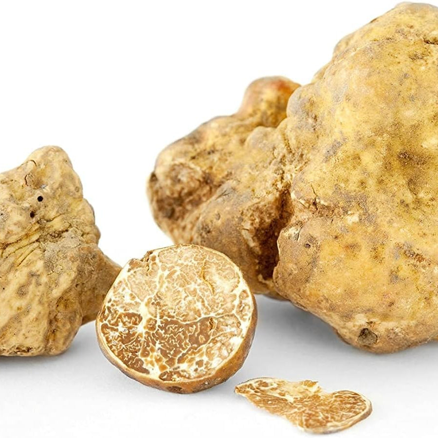 White Truffle Mushroom Spores up to 50%