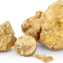 White Truffle Mushroom Spores