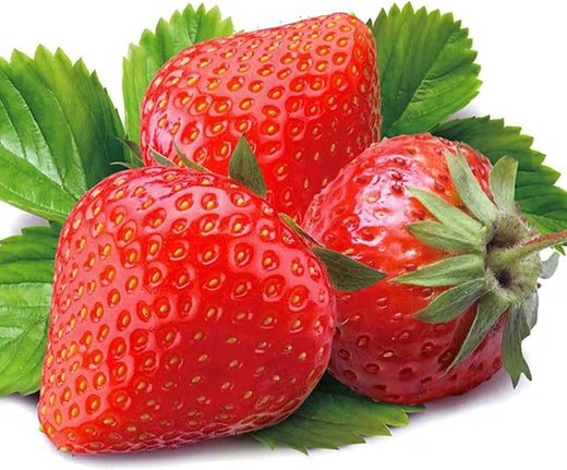 Large Strawberry Seeds