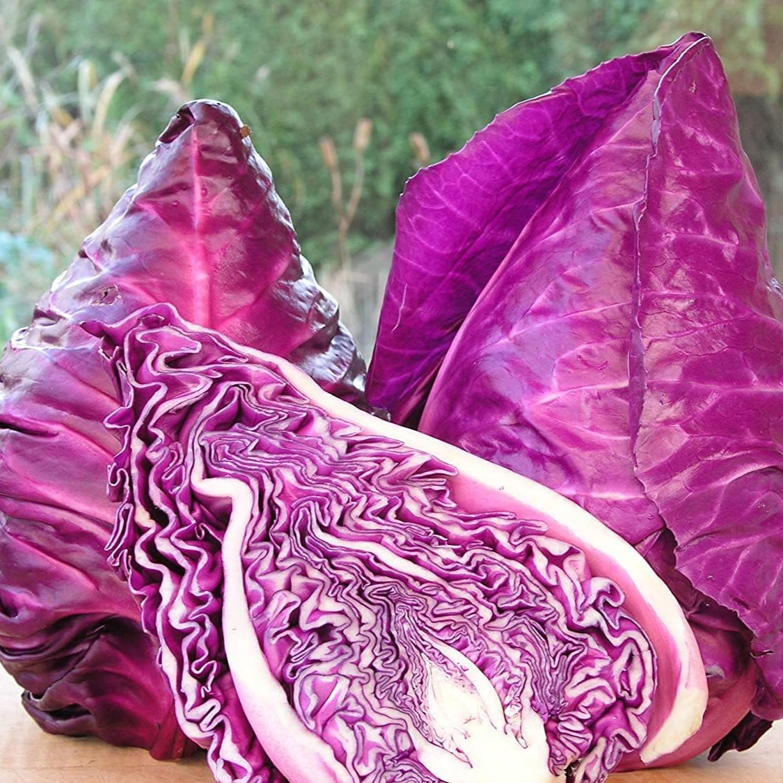 Red Kalibos Cabbage Seeds up to 50%