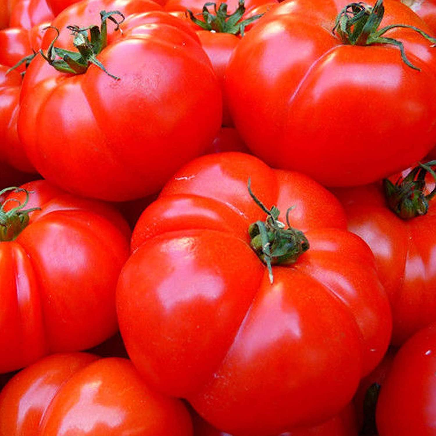 Big Beef Tomato Seeds Up to 50% Off