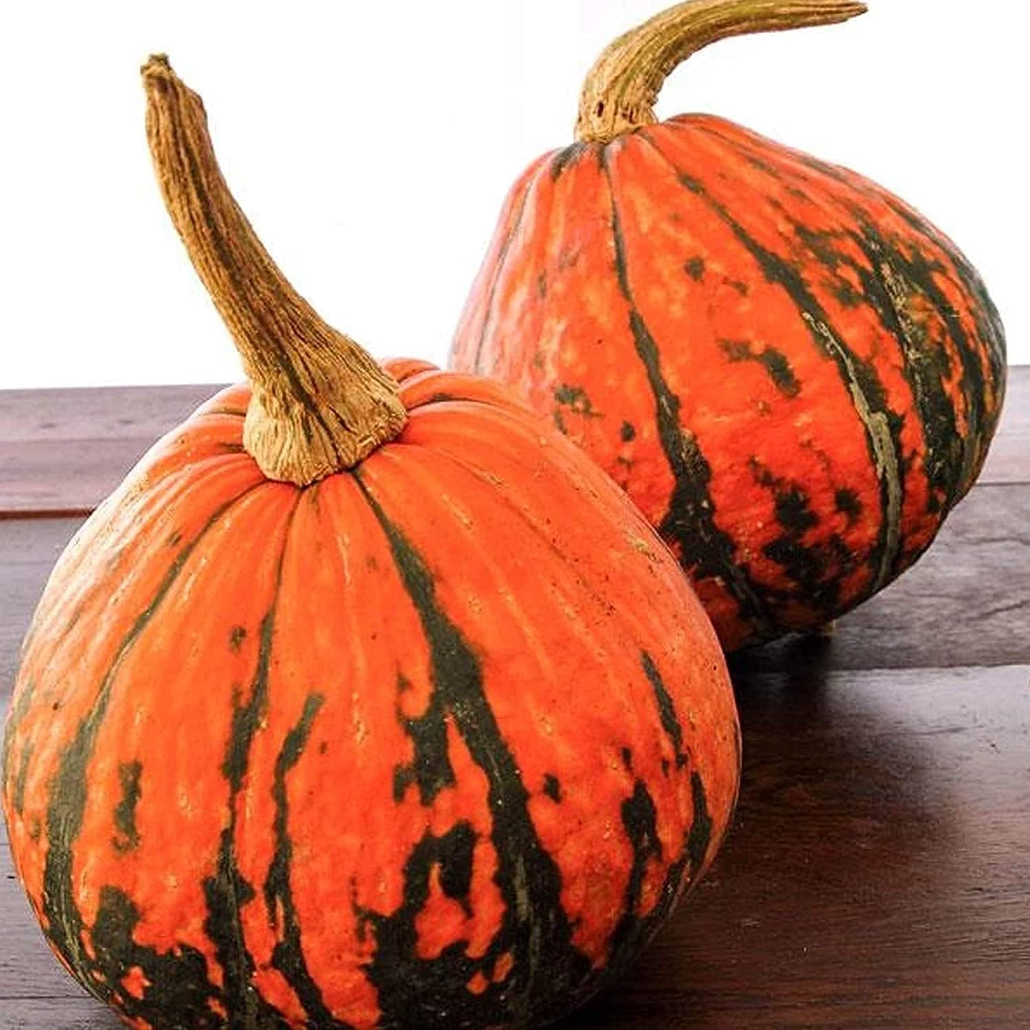 Lakota Squash Seeds Up to 50% Off