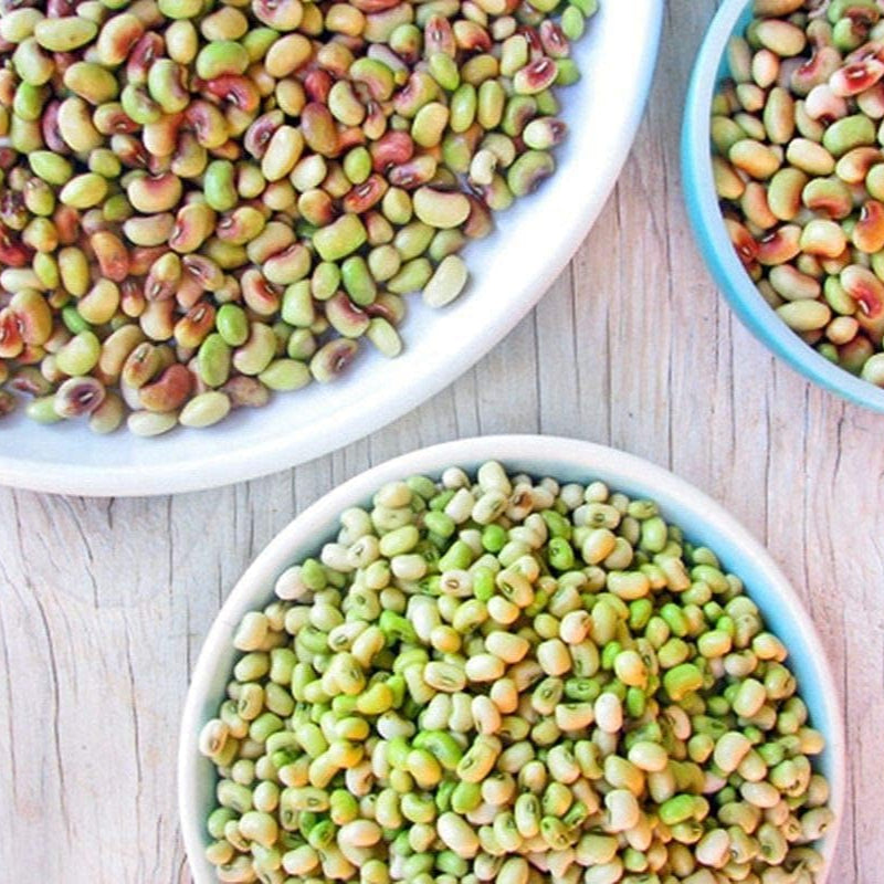 Purple Hull Pinkeye Cowpea seeds up to 50%