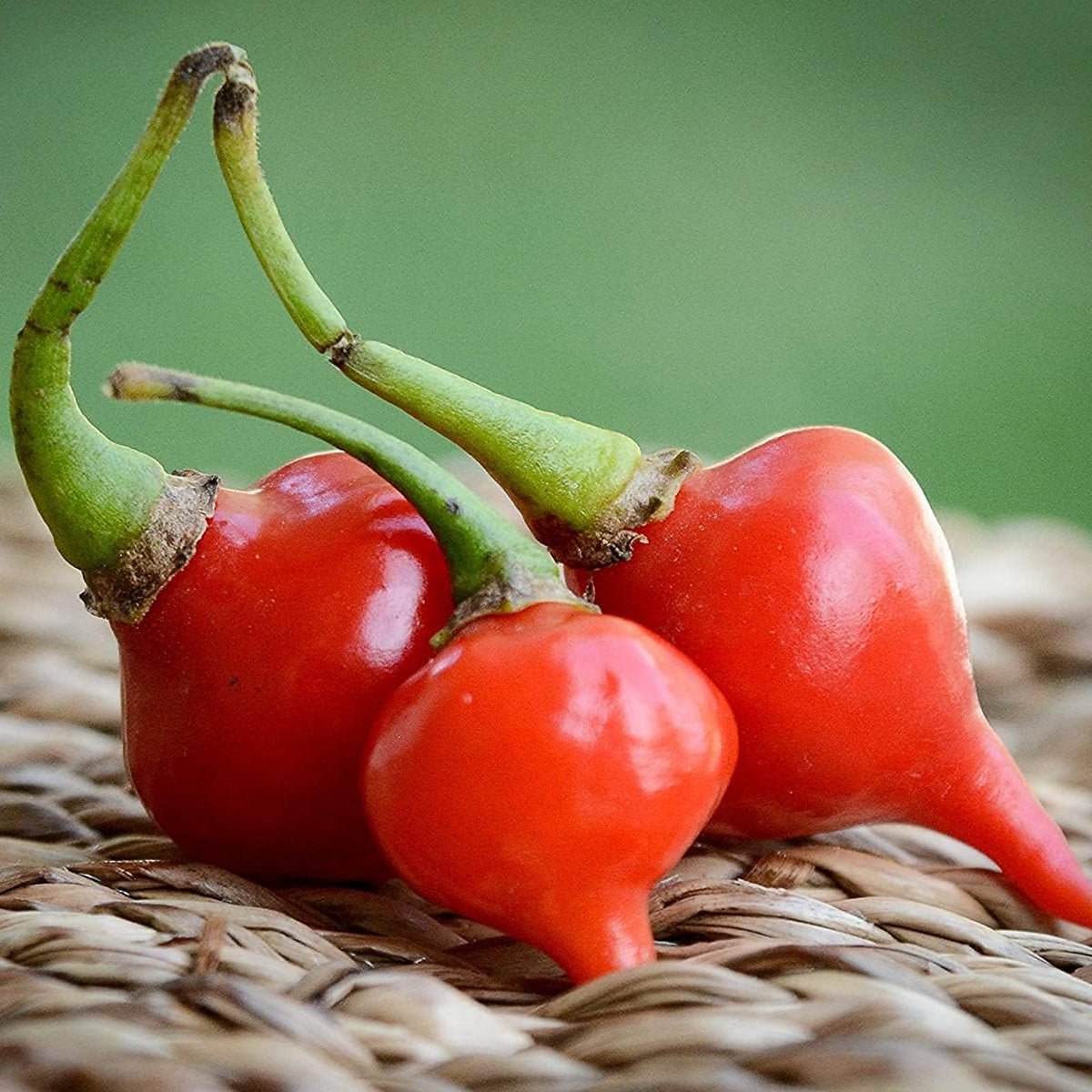 Red Biquinho (Chupetinho) Heirloom Pepper Seeds – Sweet Pickling Pepper– Up to 50%