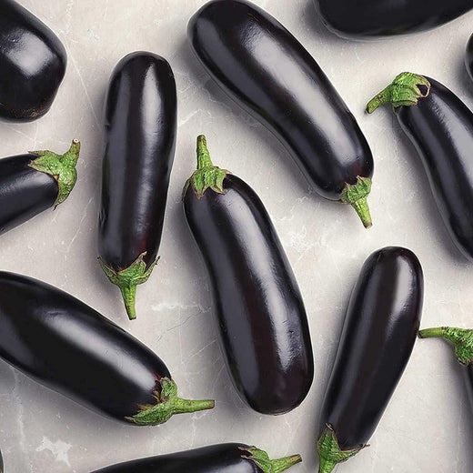 Long Purple Eggplant Seeds