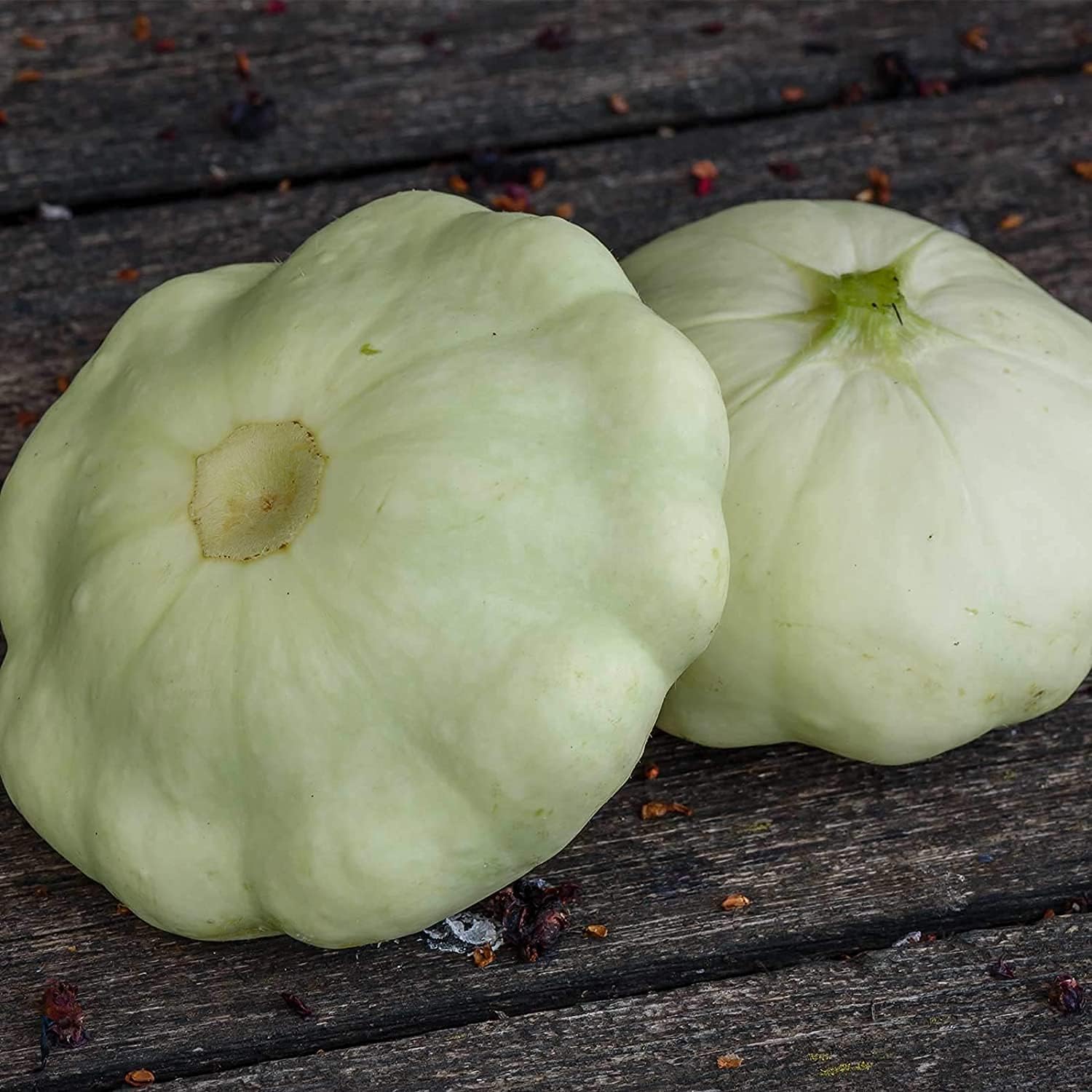 White Scallop Squash Seeds Up to 50% Off