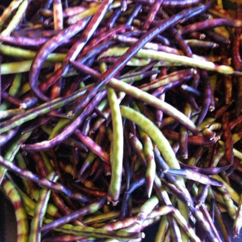 Purple Hull Pinkeye Cowpea seeds up to 50%