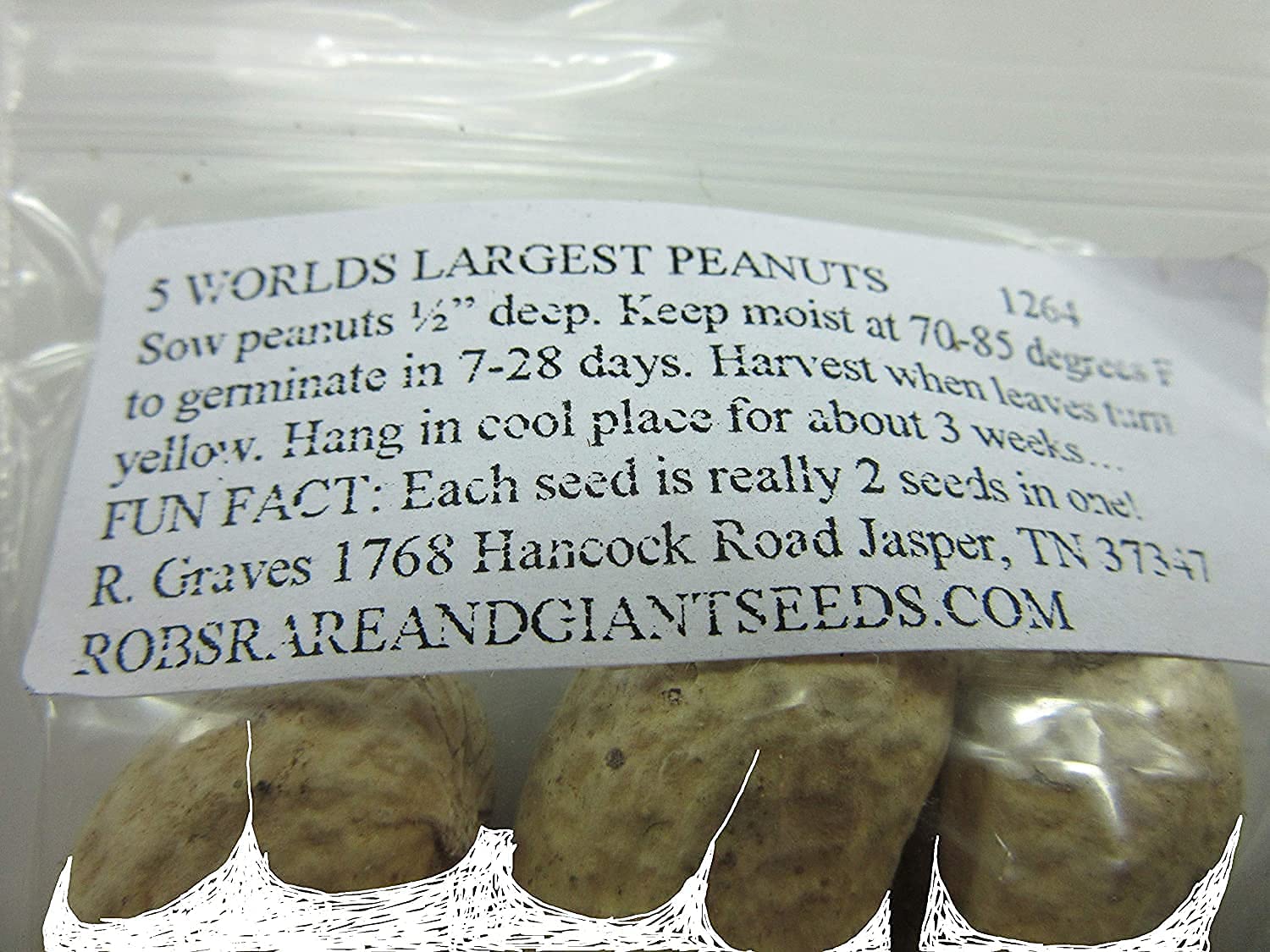 Giant Peanut Seeds Up to 50% Off
