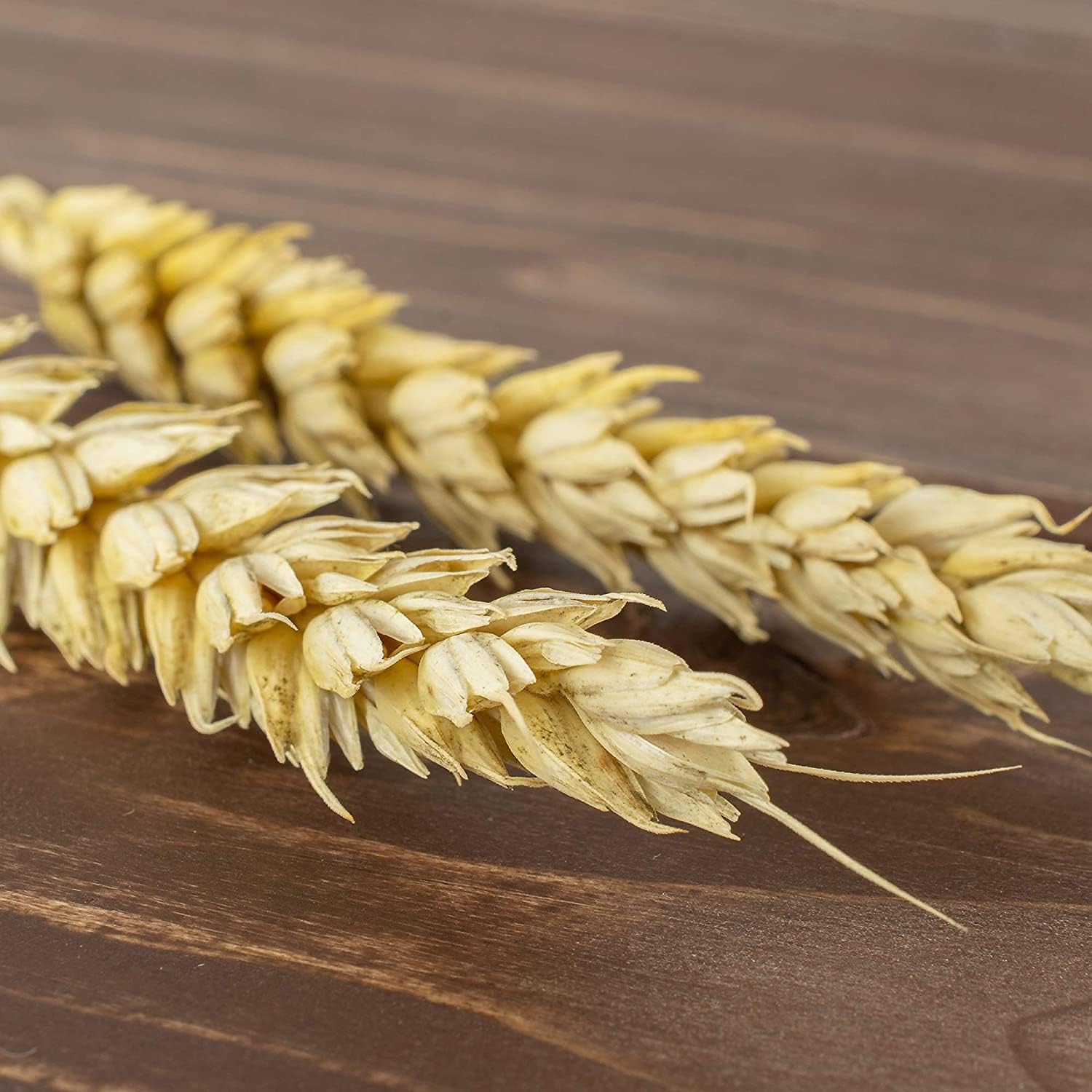 Einkorn Wheat Grain Seeds up to 50%