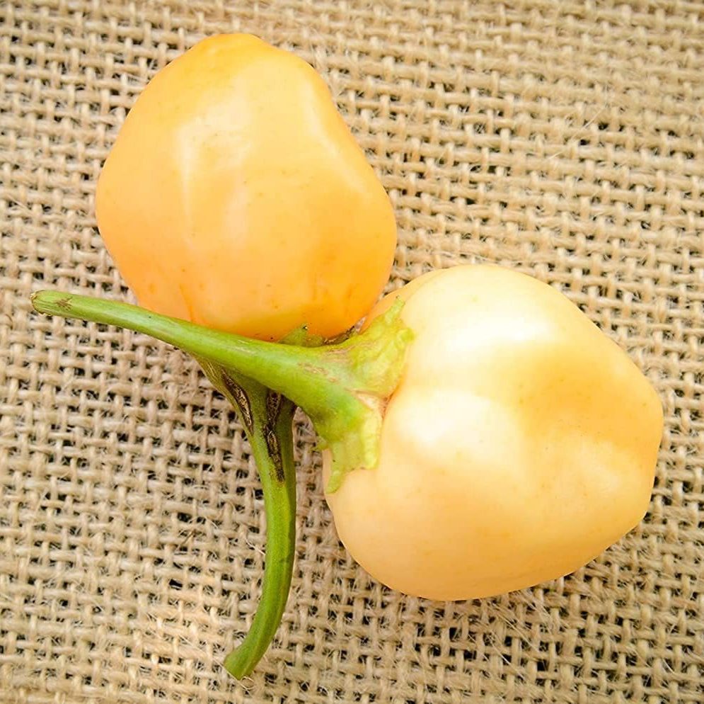 Peachadew Pepperdew Heirloom Pepper Seeds – prime day up to 50%