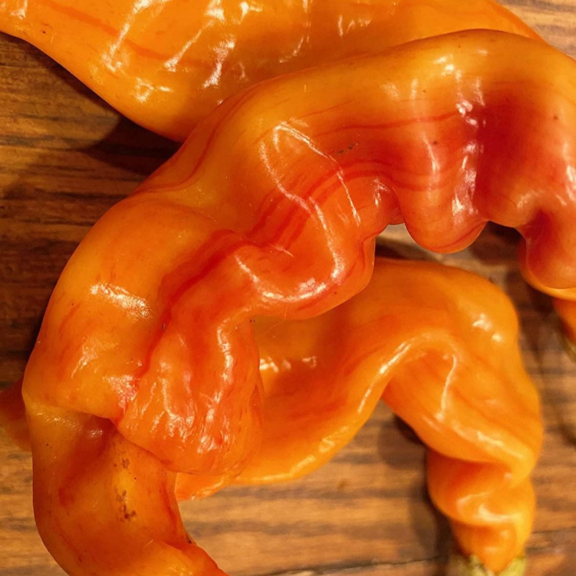 Striped Sugar Rush Bacon Malawi Piquante Pepper Seeds – up to 50%