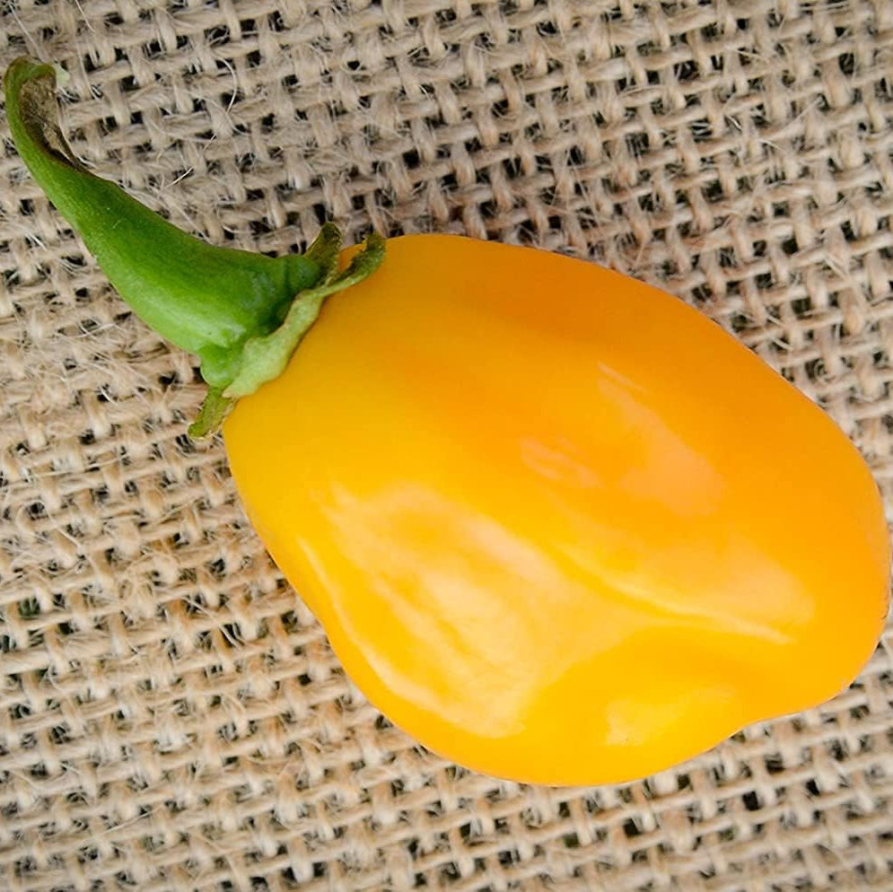 Aji Dulce Yellow Round Heirloom Pepper Seeds – Up to 50%