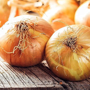 Walla Walla Sweet Onion Seeds
