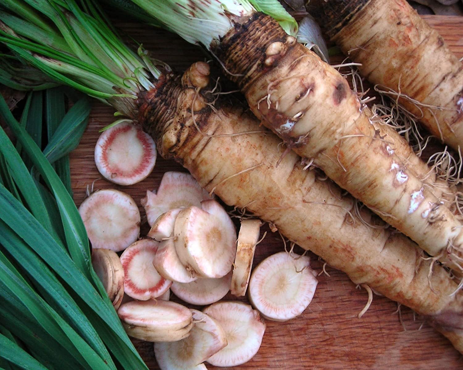 Salsify Oat Root Seeds up to 50%