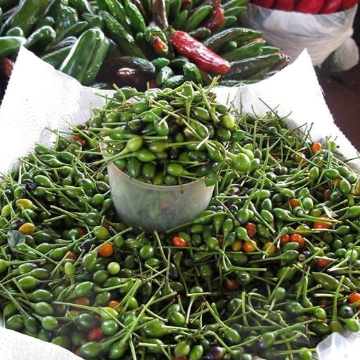 Chile Pequin Pepper Seeds