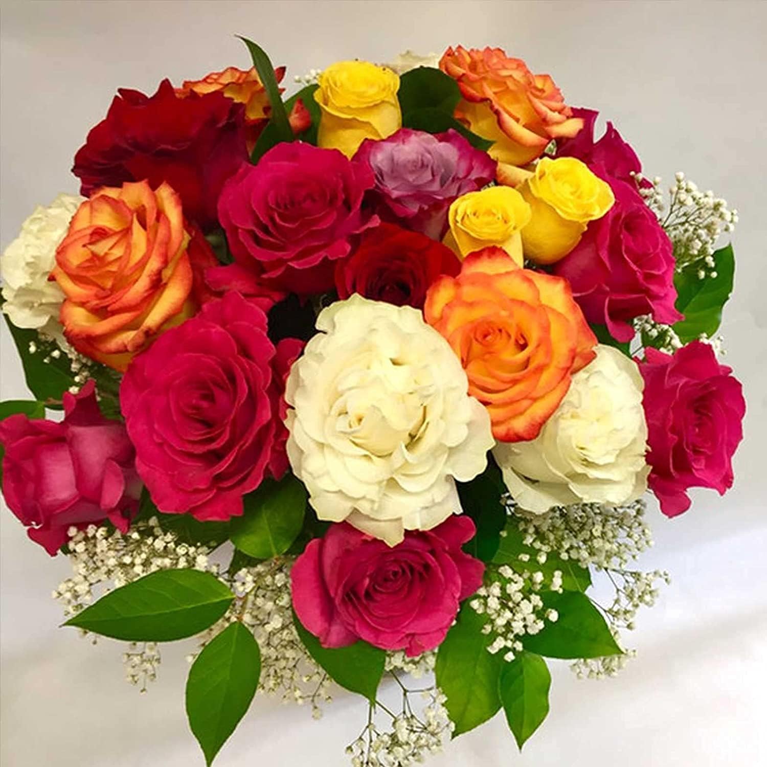 Mixed Rose Flower Seeds – Colorful Garden Blooms – prime day up to 50%