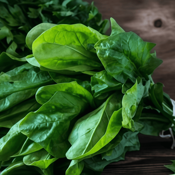 Spinach Seeds Up to 50%