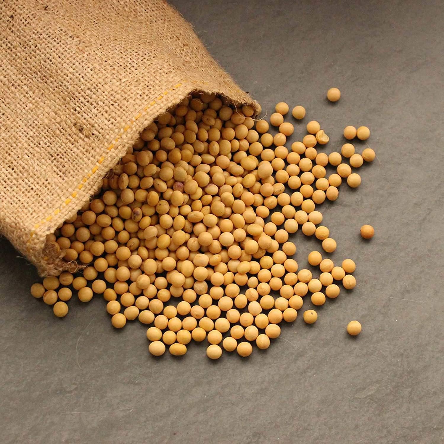 Organic Soybean Seeds – Non-GMO for Sprouts & Gardening | up to 50%