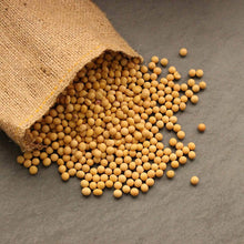 Organic Soybean Seeds