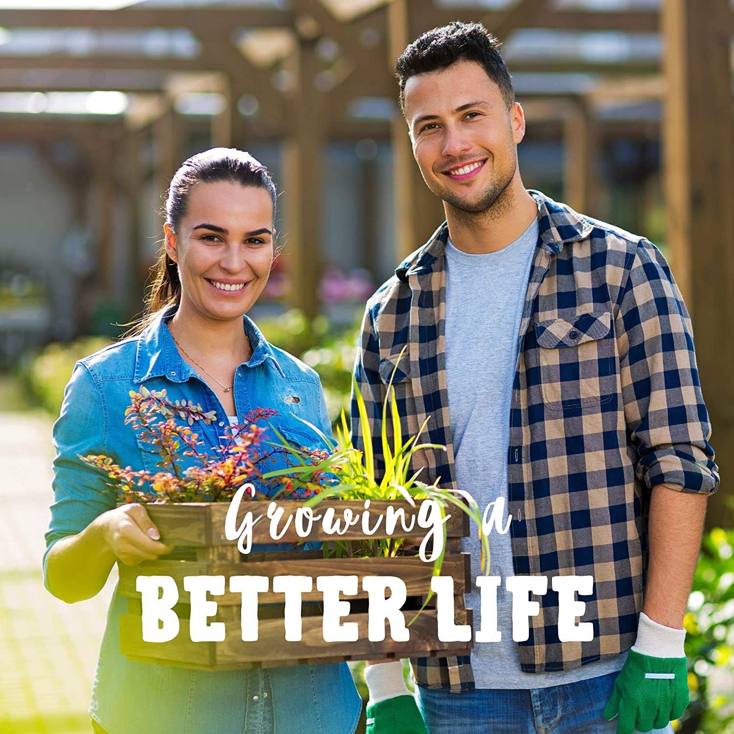 Silver King Corn Seeds Up to 50% Off