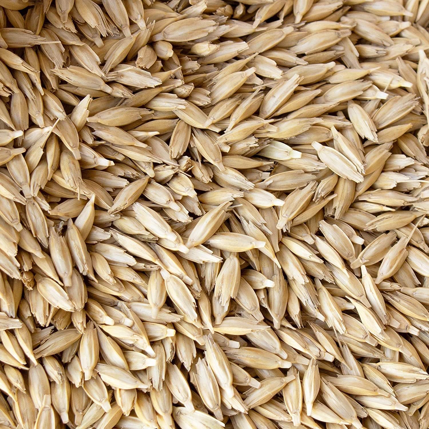 Einkorn Wheat Grain Seeds up to 50%
