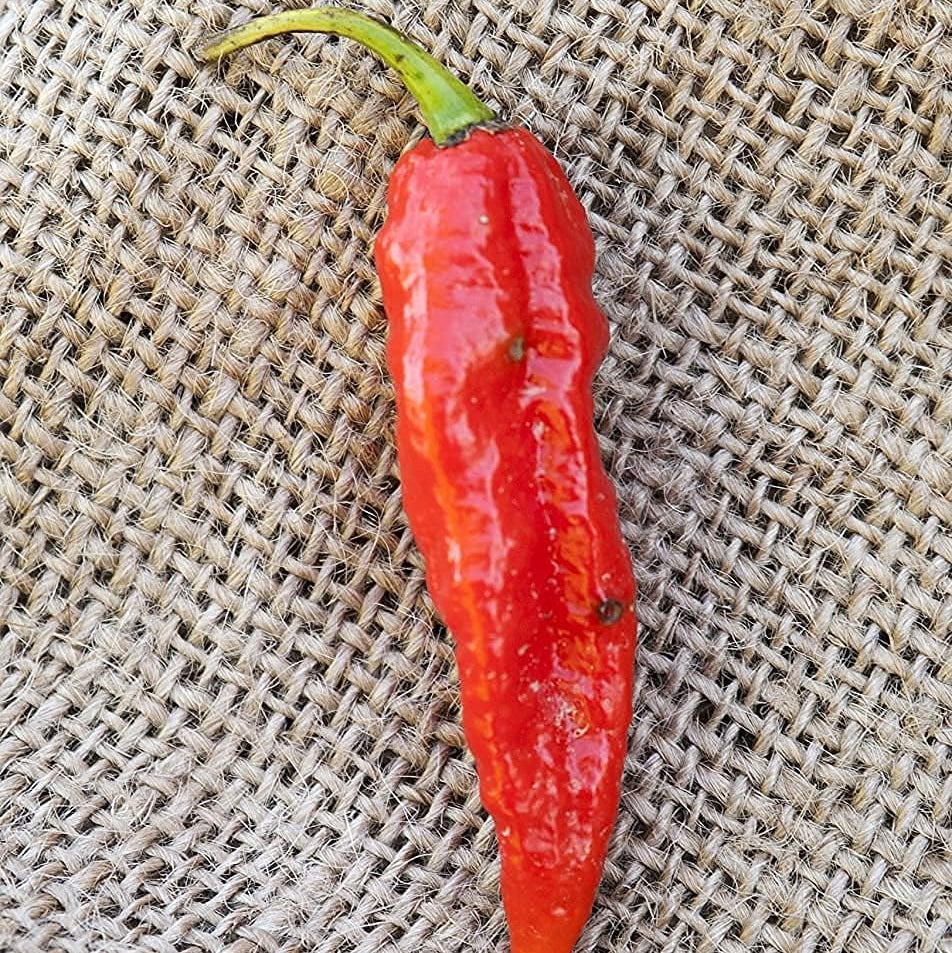 Ghost Pepper Seeds Up to 50% Off