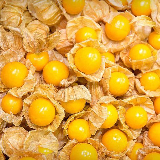 Cape Gooseberry Seeds