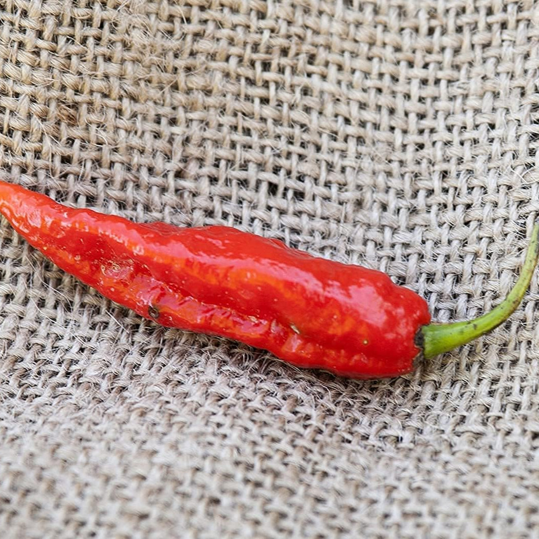 Ghost Pepper Seeds Up to 50% Off